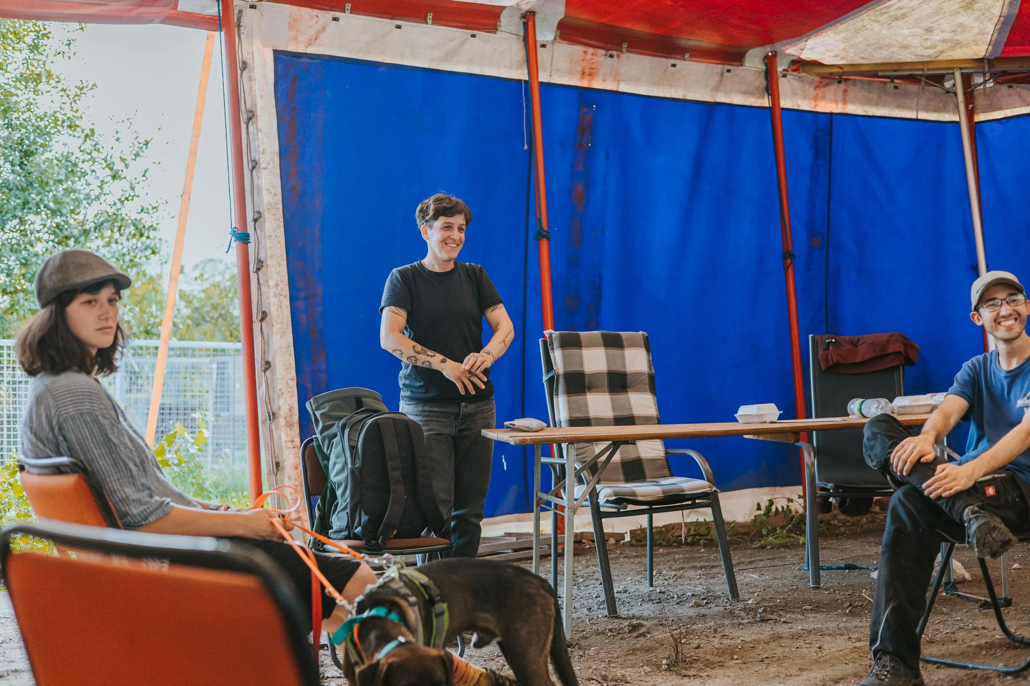 Einblick in die Fortbildung für Hundetrainer zu Problemhunden in Marzahn.