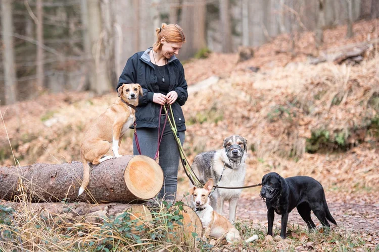 Hannah Rohde mit ihren vier Hunden, die allesamt aus dem Tierschutz kommen.