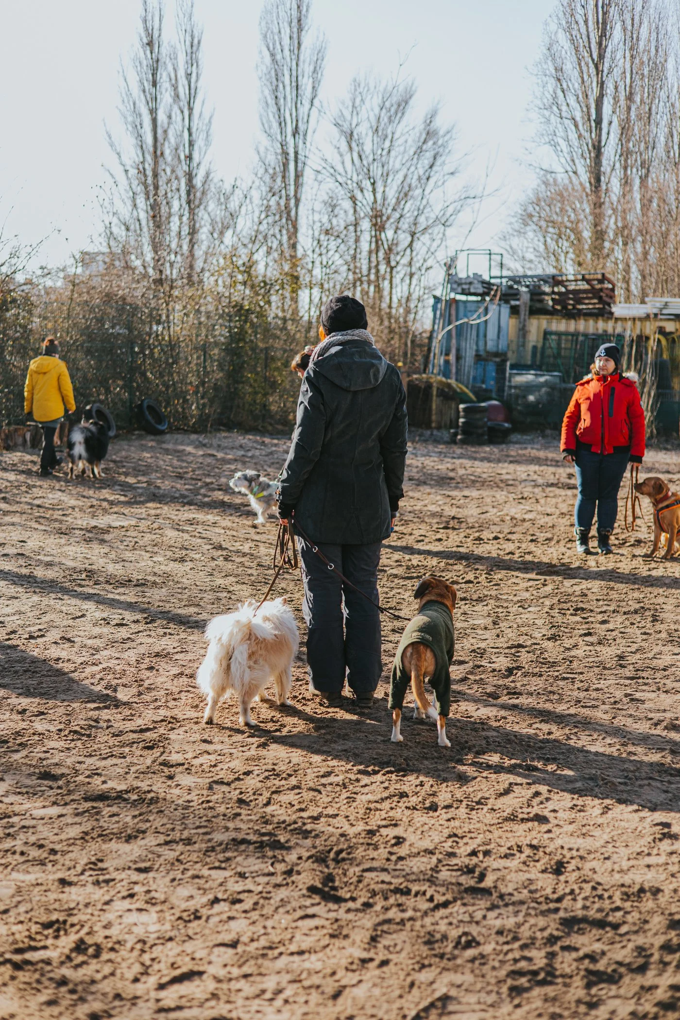 Menschen mit Hunden während des Gruppentrainings in Adlershof.