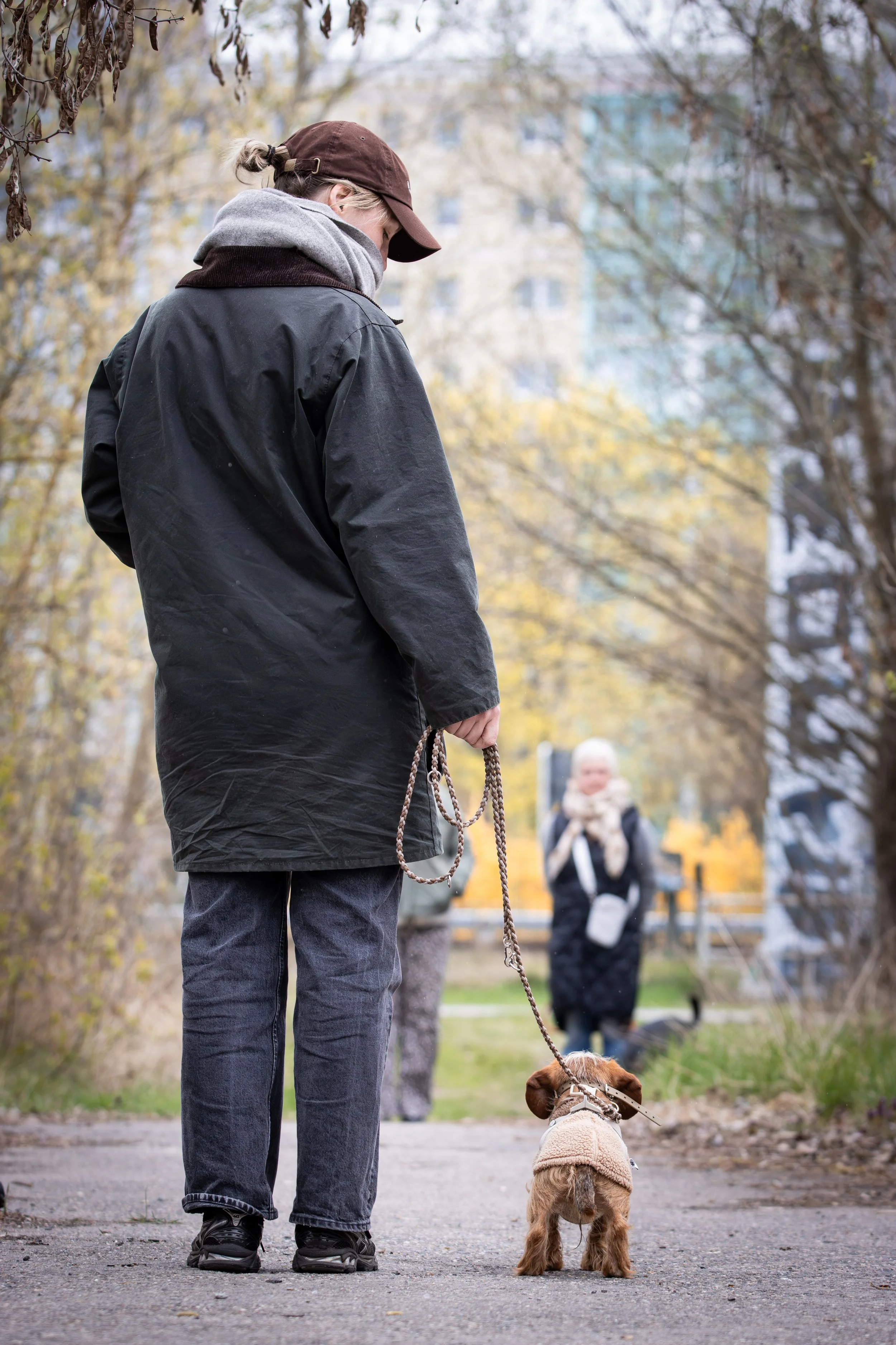 Hundebegegnungen Berlin trainieren.jpg