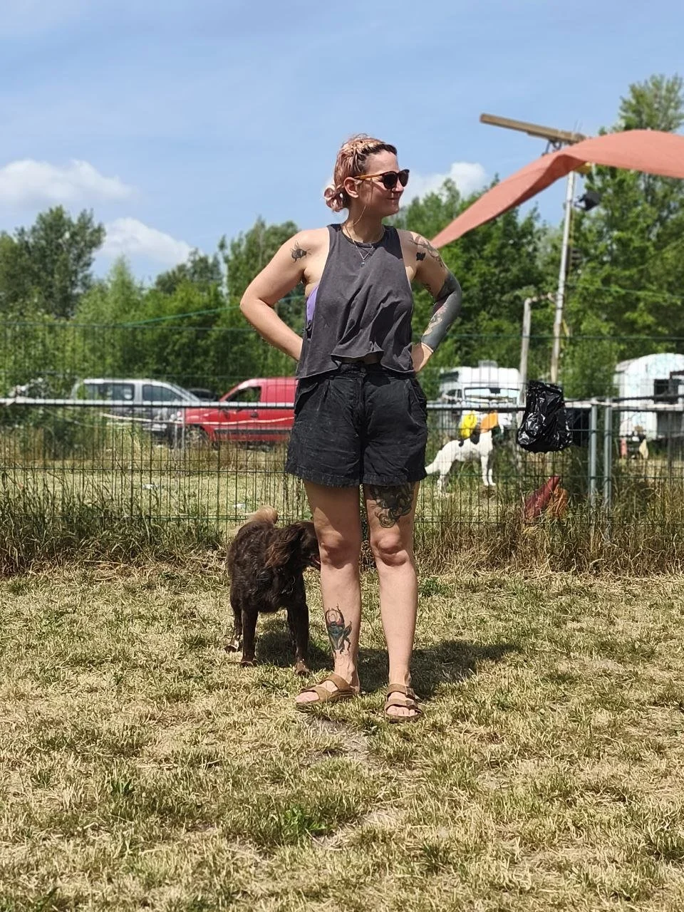 Hunde Festival Berlin.jpg