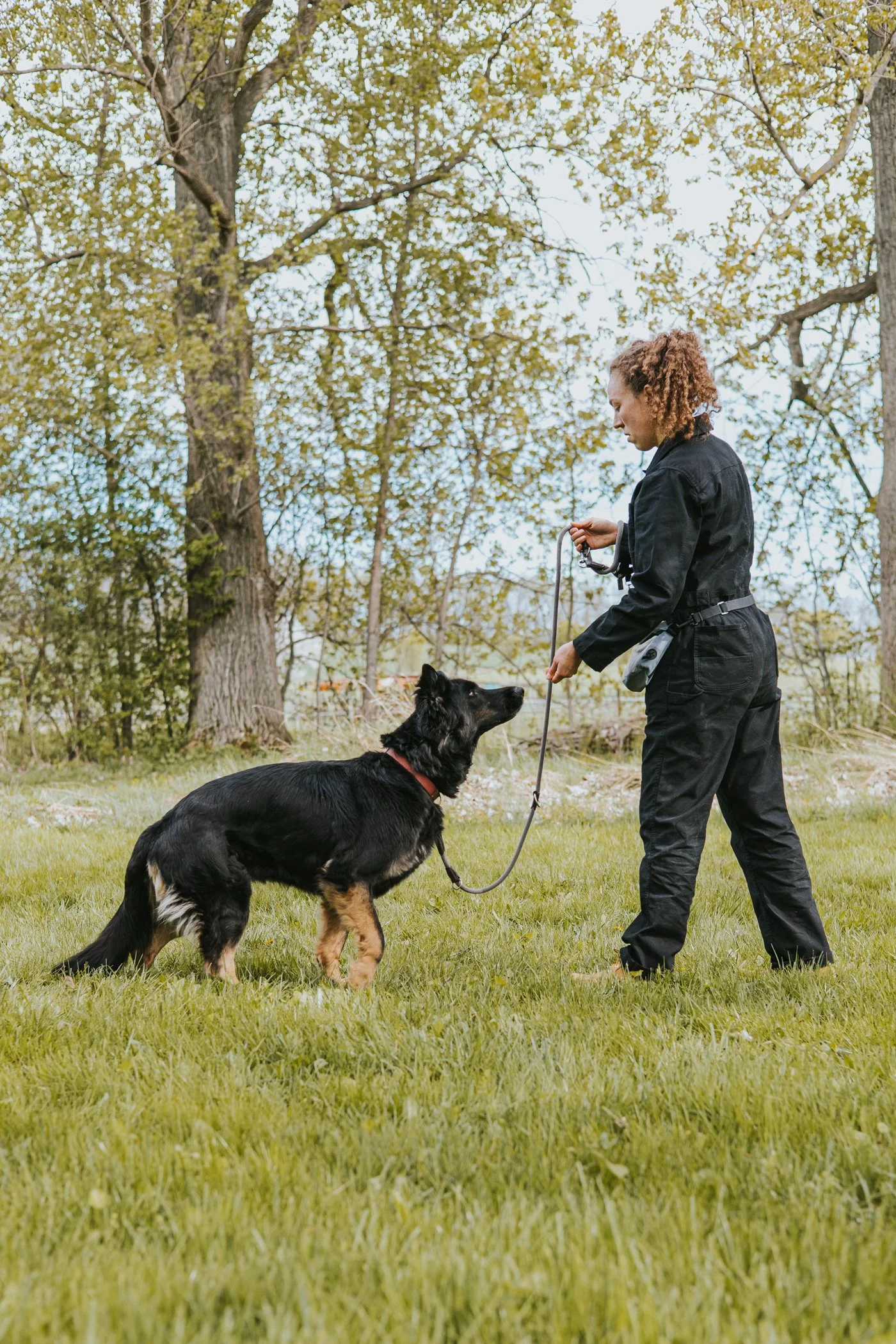 Frau lädt einen Schäferhund körpersprachlich dazu ein, zu ihr ranzukommen. Der Hund schaut sie dabei aufmerksam an, die Leine hängt locker durch.