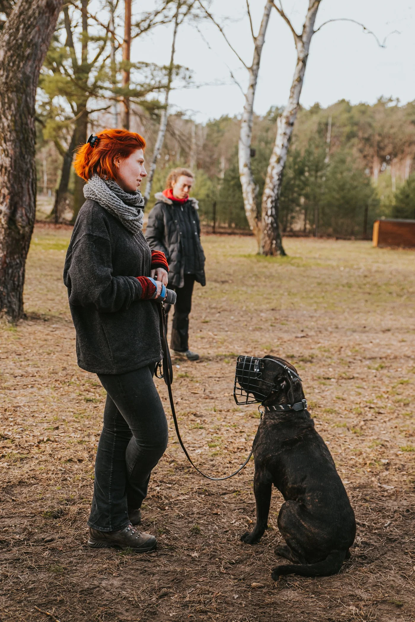 Hannah Rohde mit einer Presa Canario Hündin an der Leine, auf einem Seminar zum Thema Hundeverhalten.