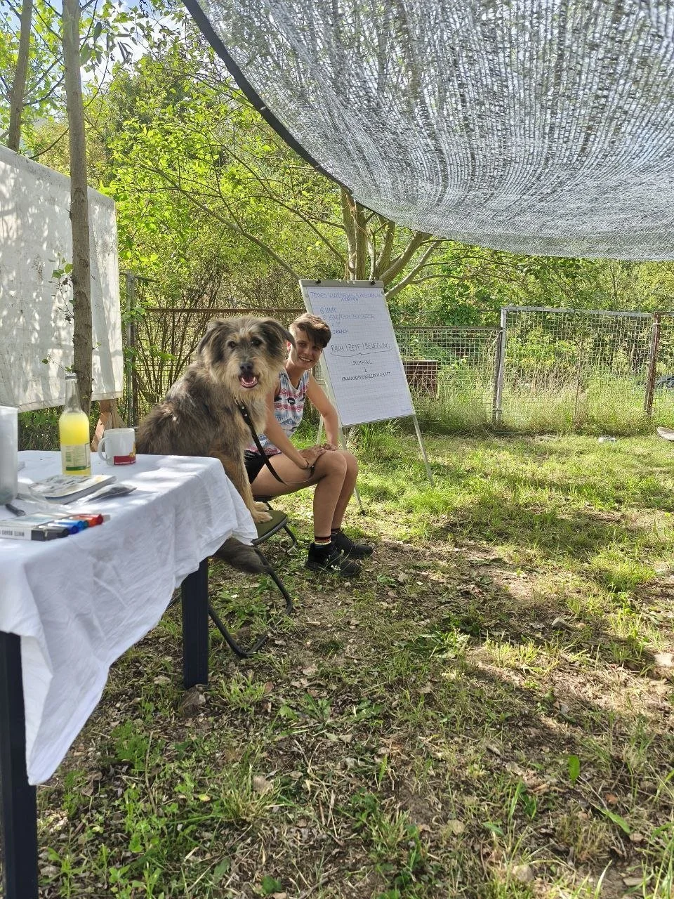 Hundeseminar Berlin Hütehund.jpg