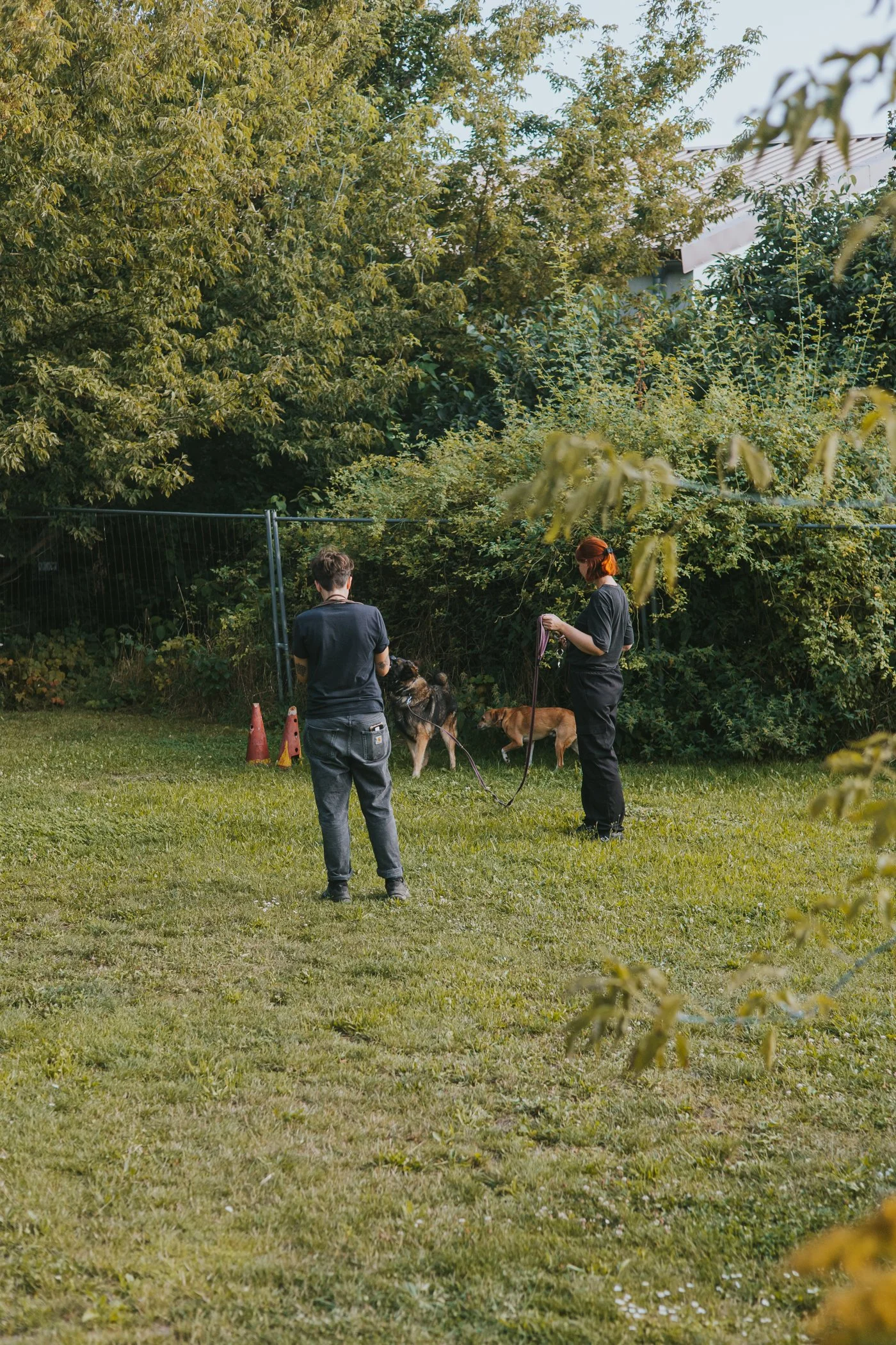 Menschen und Hunde in der Sozialkontaktgruppe in Marzahn.