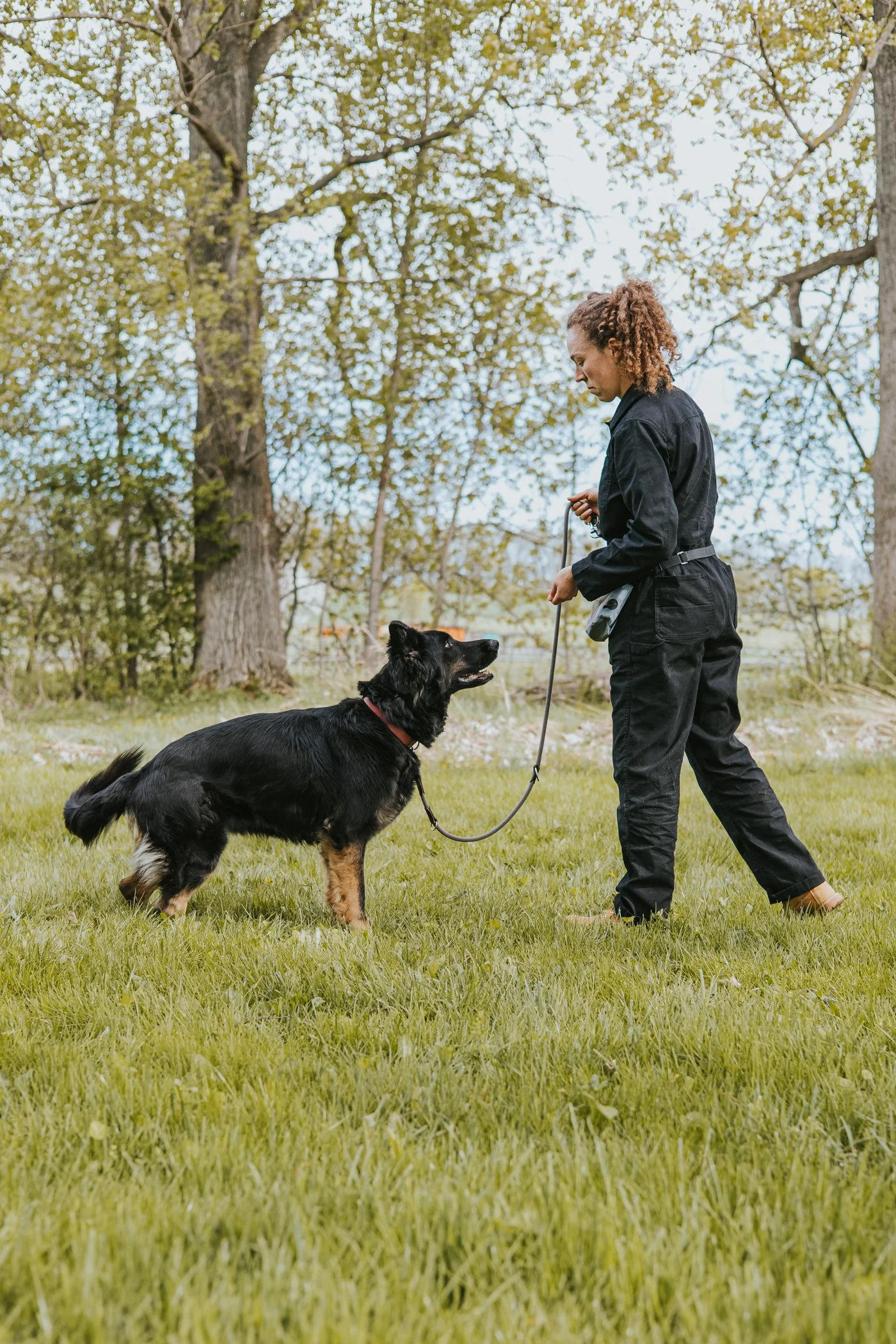Frau hält ihren Hund körpersprachlich in Kontakt. Die Schäferhündin schaut orientiert hoch zu ihrem Menschen, die Leine ist locker.