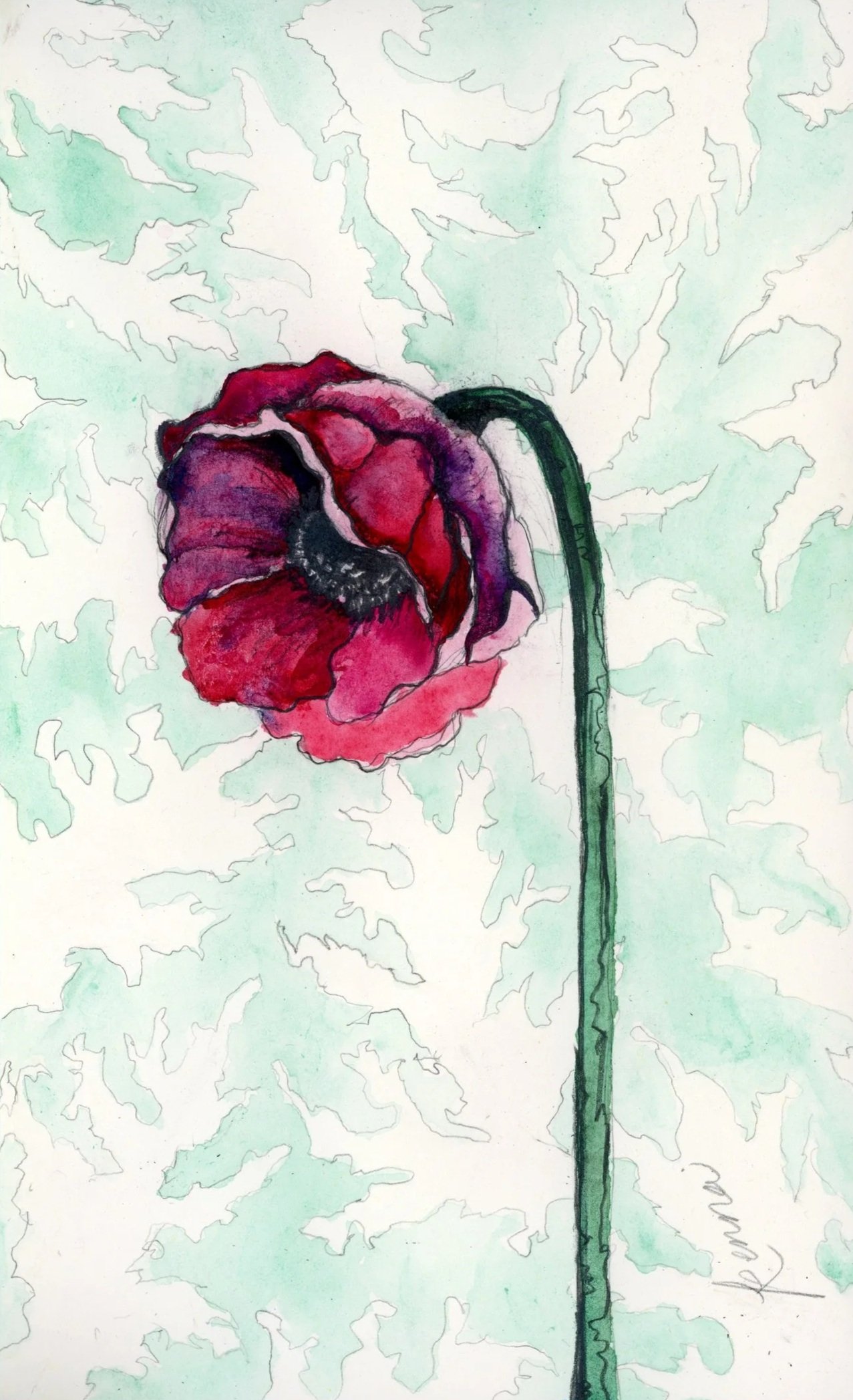 A Poppy for Sylvia... 
Watercolor & graphite