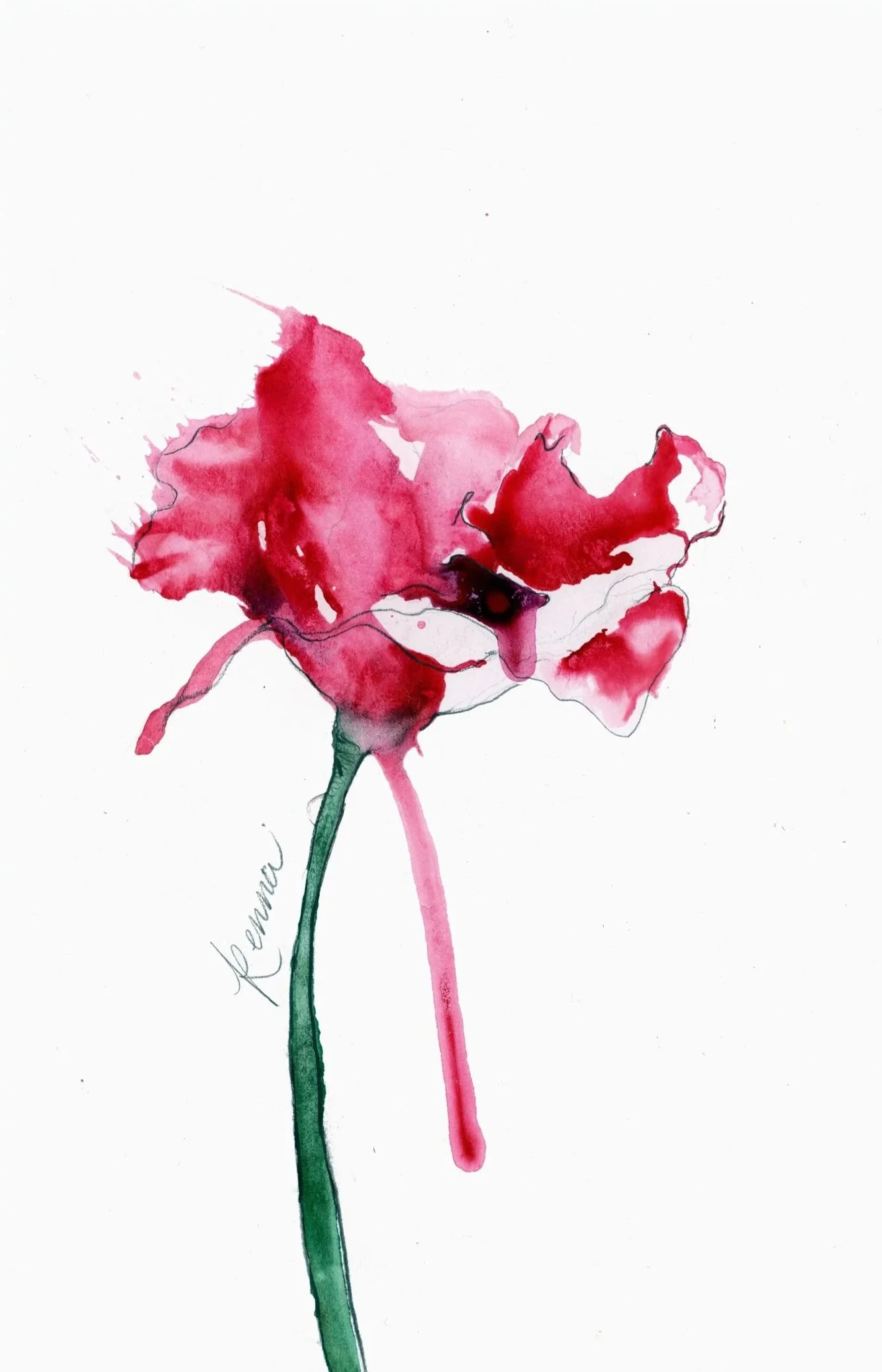 In a forest of frost, in a dawn of cornflowers.”
-Sylvia Plath... 
Watercolor & graphite