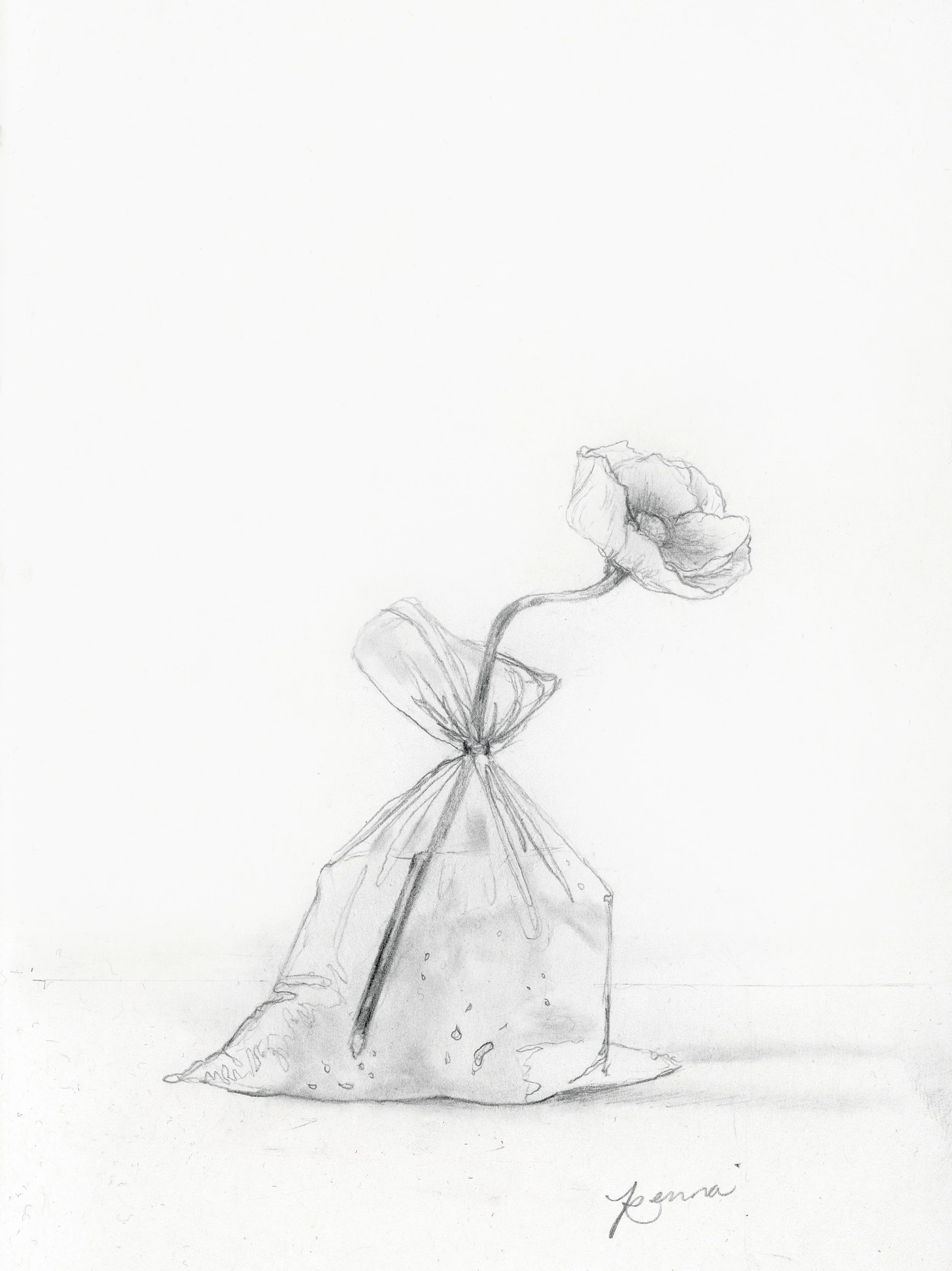 A Bloom To-Go... 
Graphite