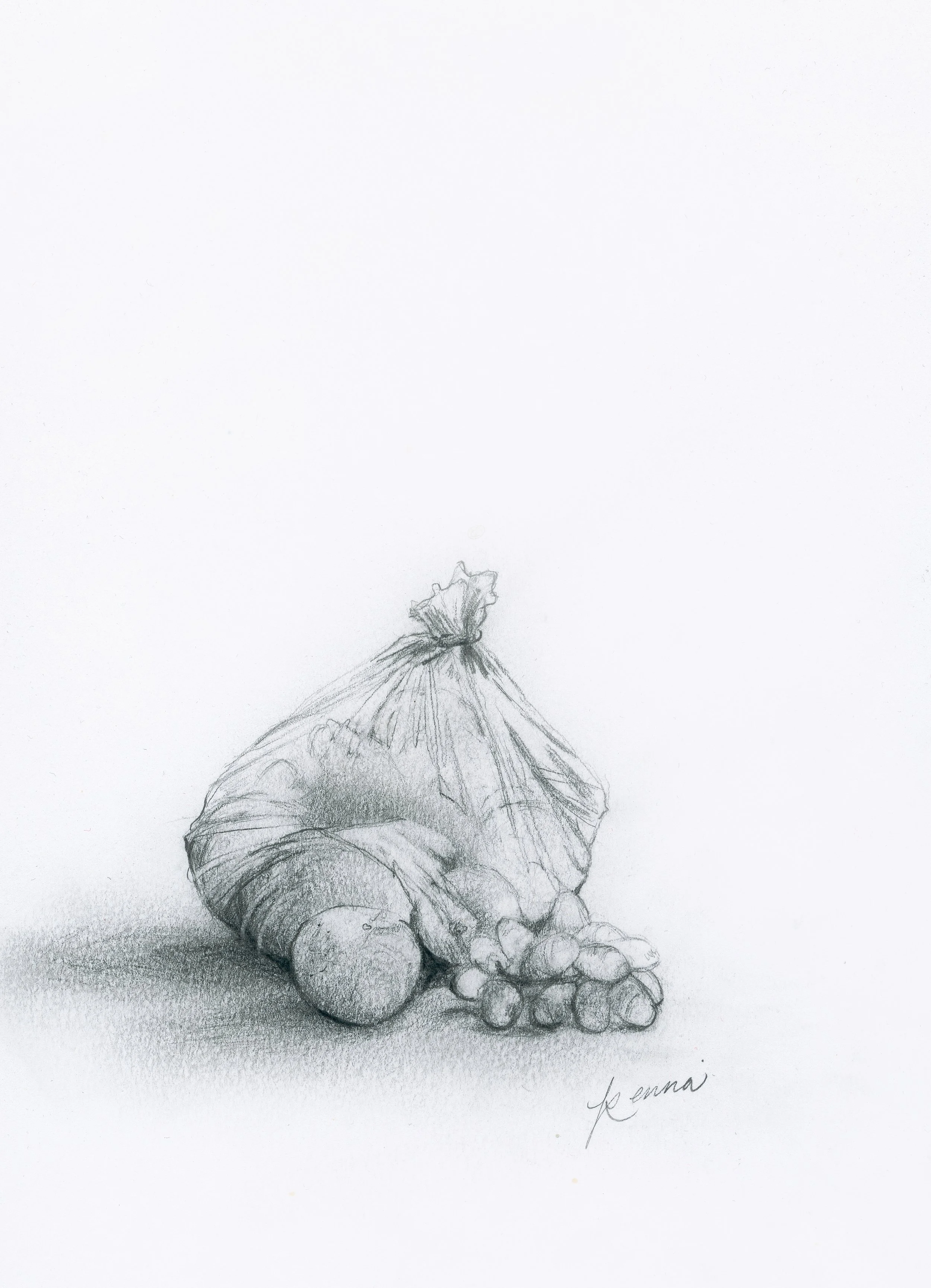 Fruit Salad... 
Graphite