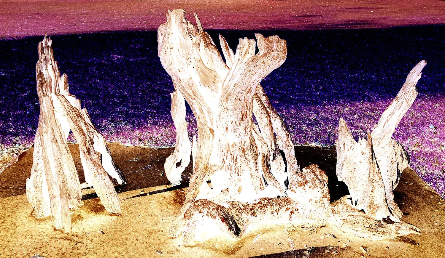 View from over the valley 3 
Photography