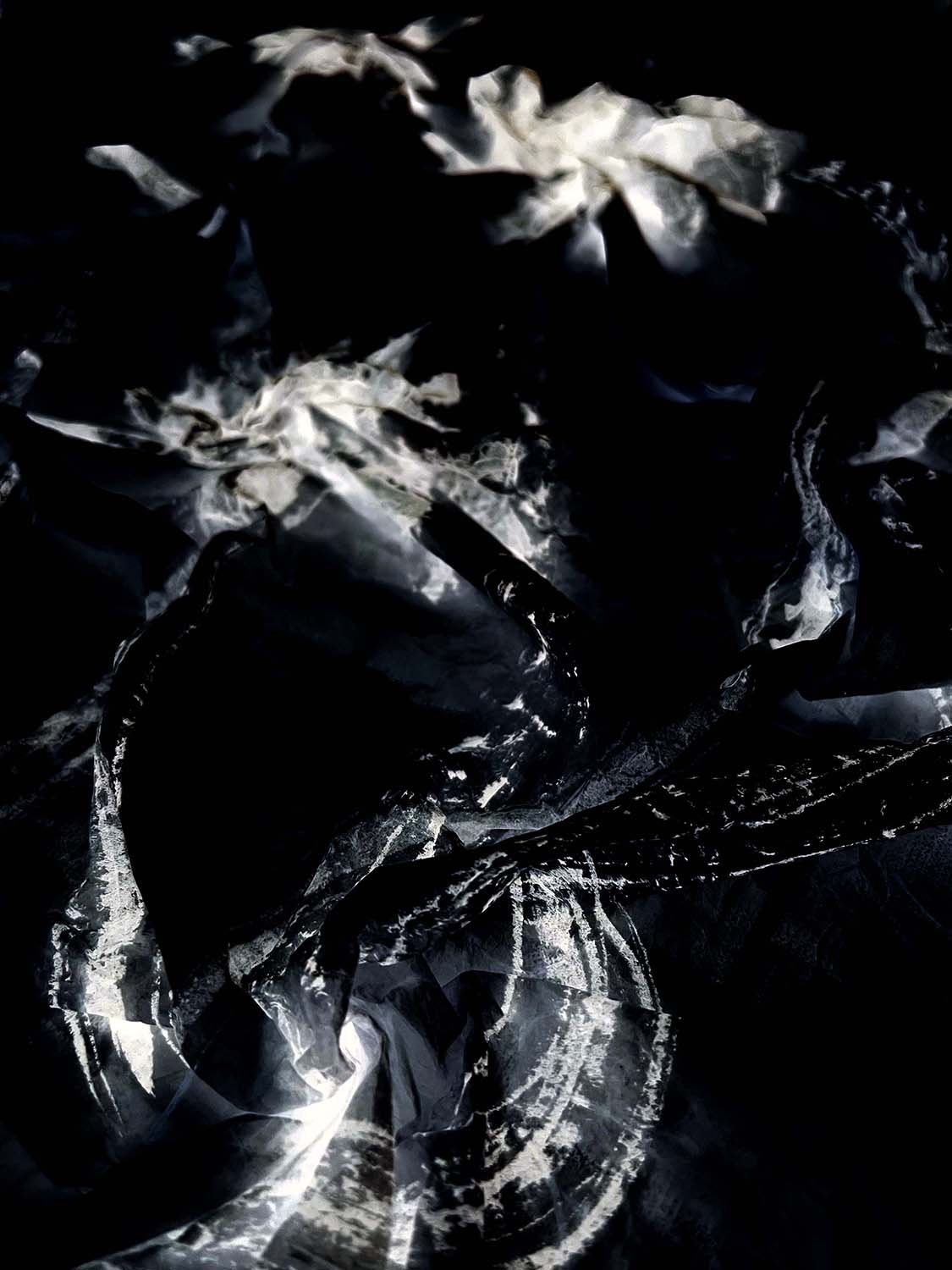 Floral Jewelry 1 
From the Variations collection 
Digital artwork