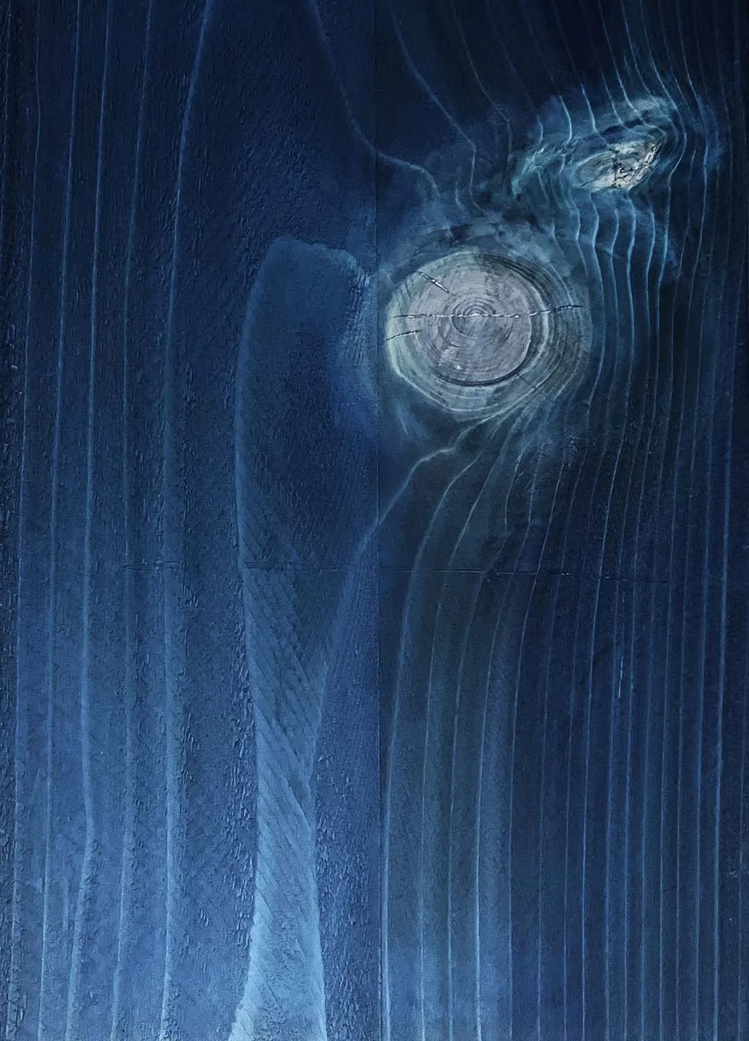 Hamadryad_II