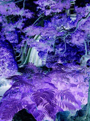 Floral & Botanical 10