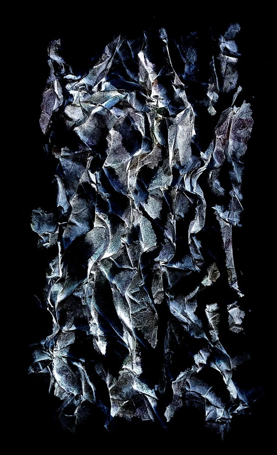 Strands 
From the Variations collection 
Digital artwork