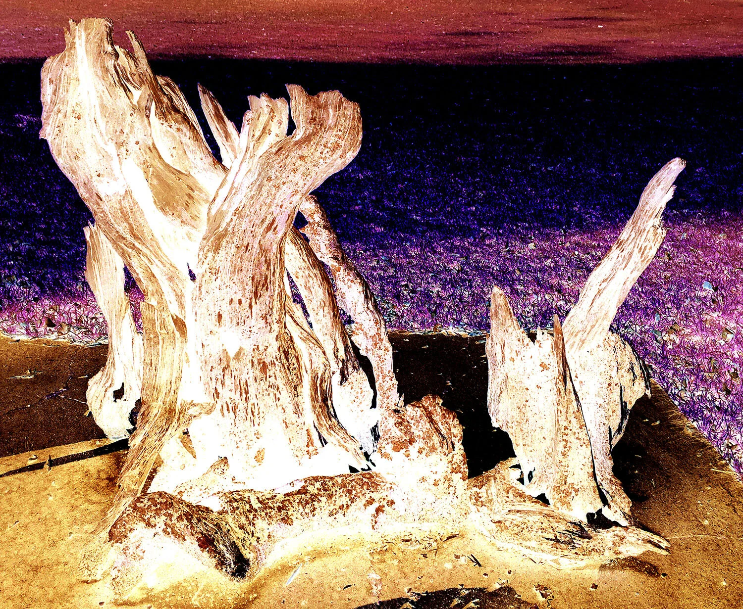 View from over the valley 1 
Photography