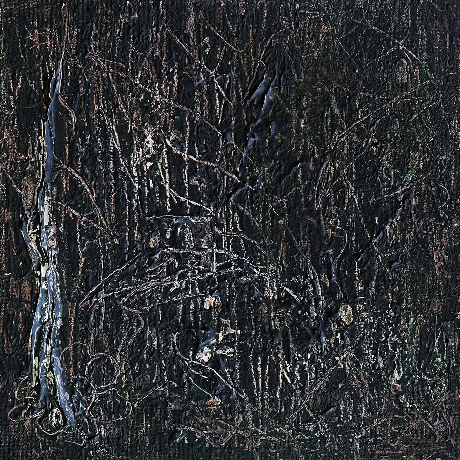 Thicket