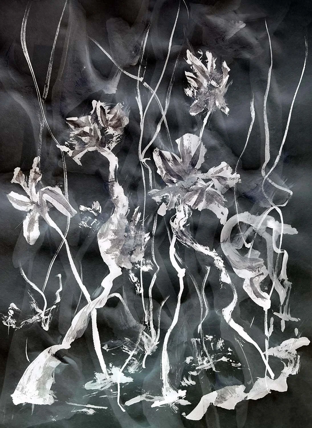Night Beauties-2 
From the Variations collection 
Digital artwork