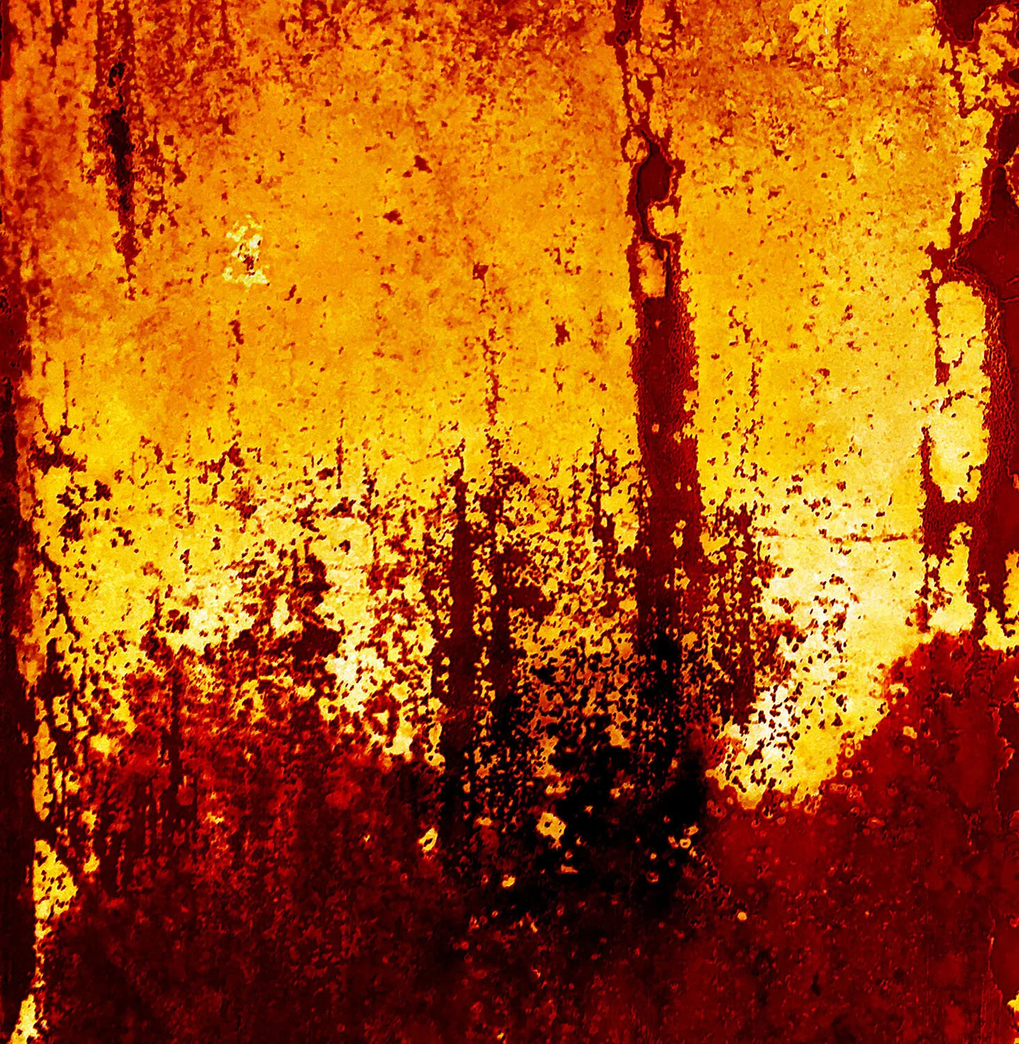 Variations 16 
From the Variations collection 
Digital artwork