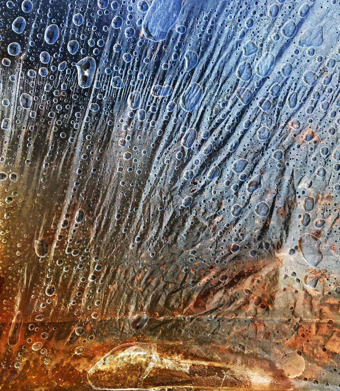 Variations 25 
From the Variations collection 
Digital artwork