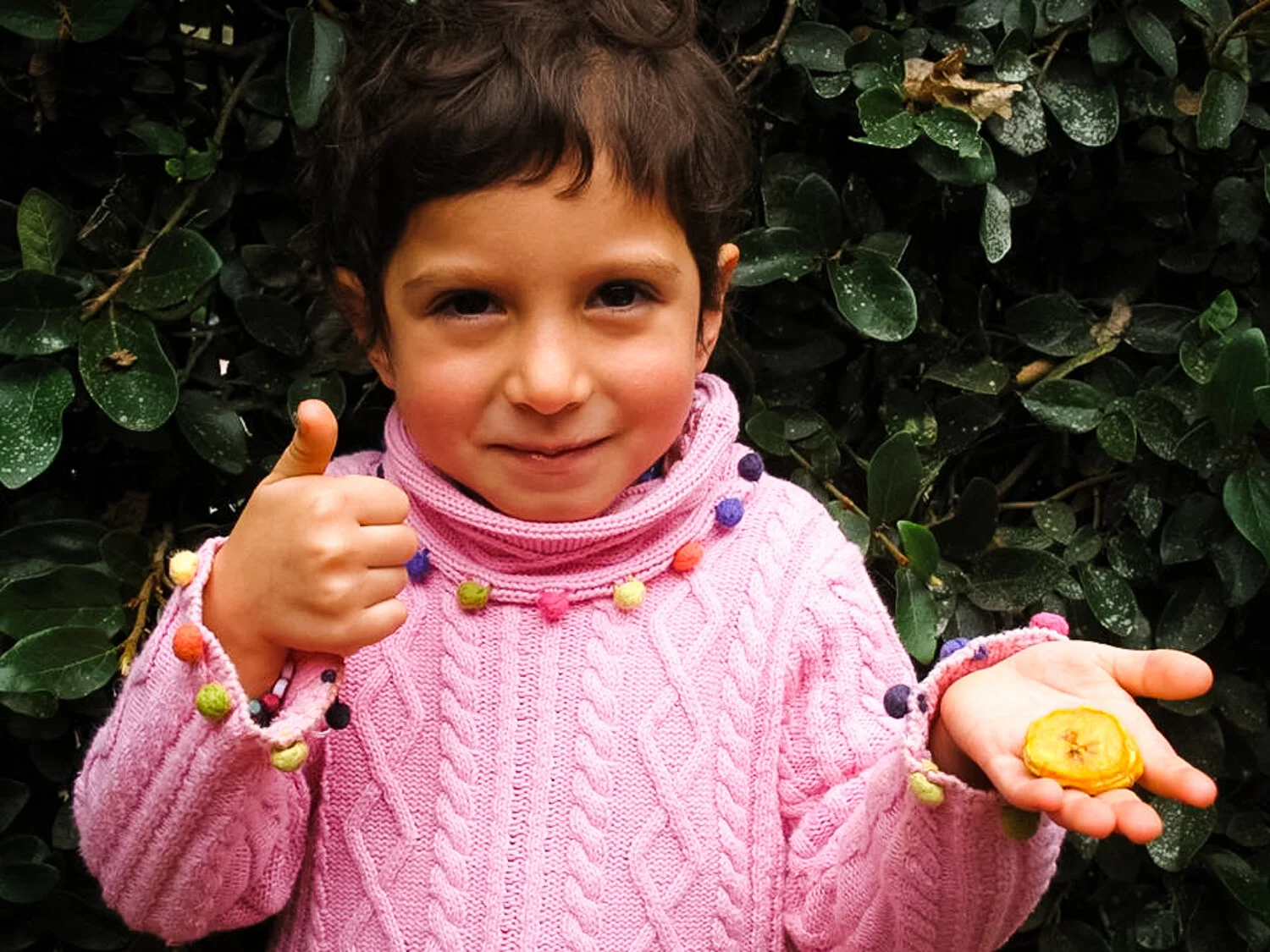 Dried Plantain Bananas Sweetened with Mandarine Juice — Metzifruit