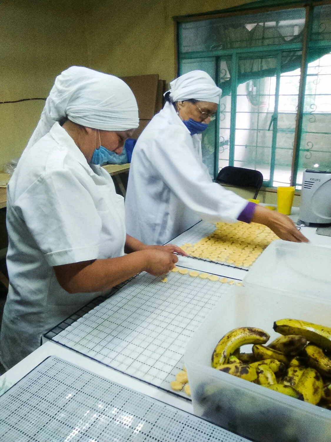 Dried Plantain Bananas Sweetened with Mandarine Juice — Metzifruit
