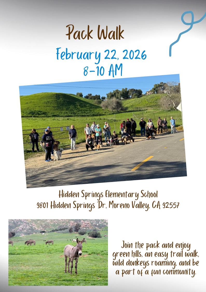 February 2026 Pack Walk