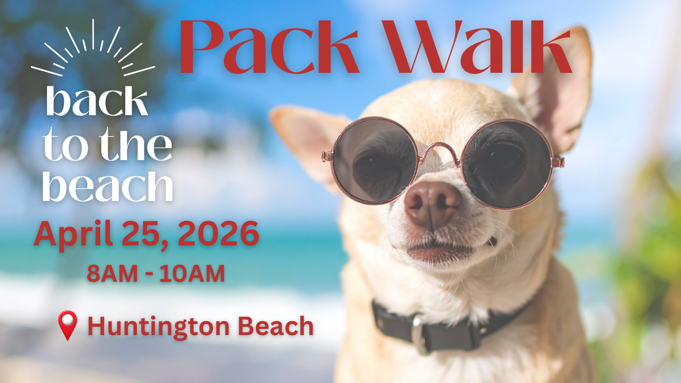 Huntington Beach Pack Walk
