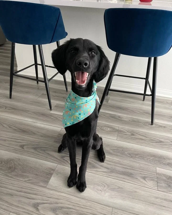 Kona.jpg