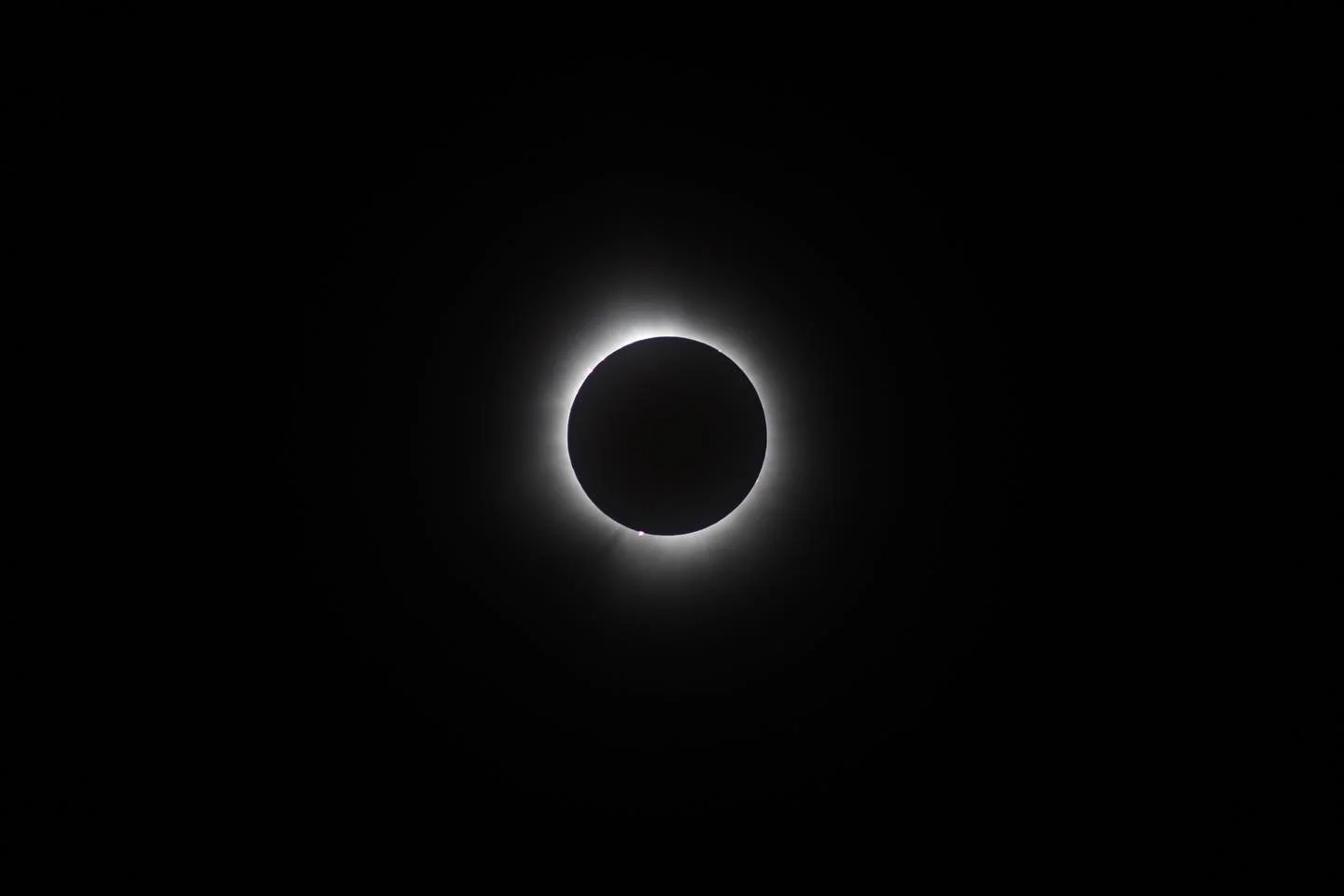 This was actually crazyyyy! Genuinely didn&rsquo;t think I&rsquo;d end up with photos like this. If the stars align and you end up in a random Ohio parking lot on a Monday afternoon, you will get free hotdogs, and you will see a total solar eclipse. 