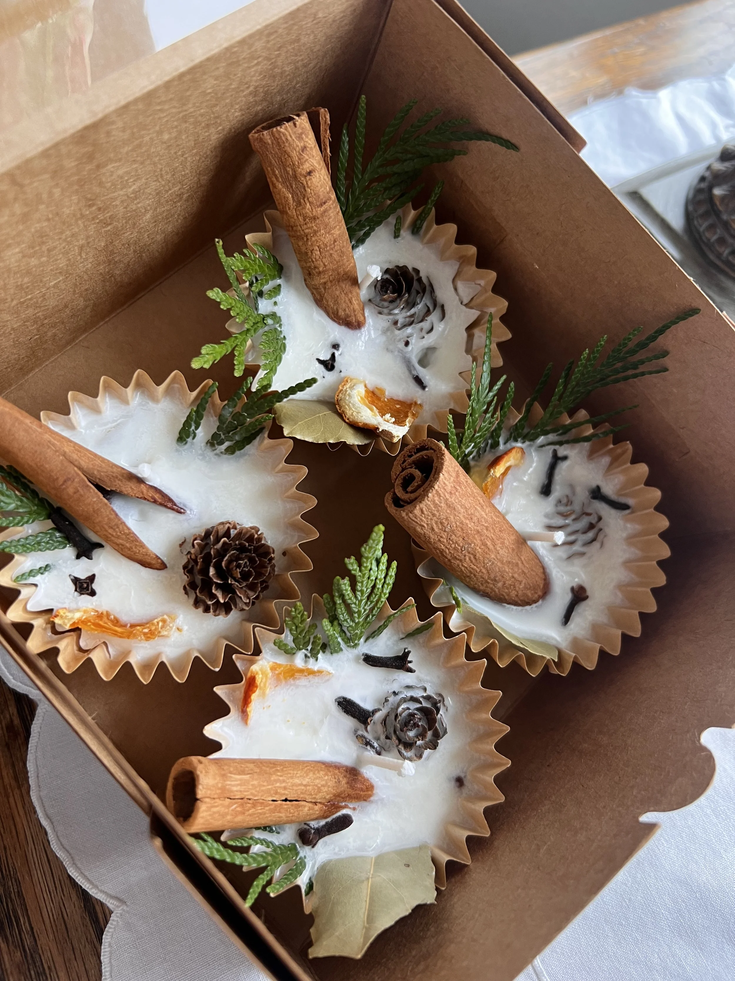 BEEF TALLOW FIRE STARTER.JPEG