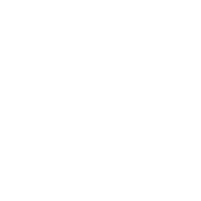 AuthenticityPresence.png
