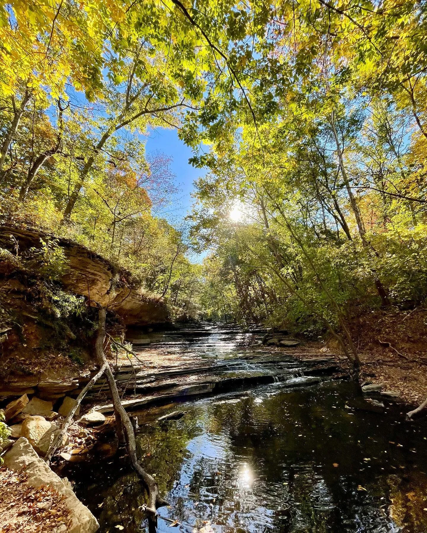 Nothing beats hiking in the Fall!
.
.
.
.
.
.
.
.
.
.
#HFHOutfitters #HuntFishHike #ozarks #hiking #hunting #fishing #outdoor #outdoors #outdooradventures #nature #wildlife #hfhoutfitters #fishinglife #photography #America #USA #publiclandowner