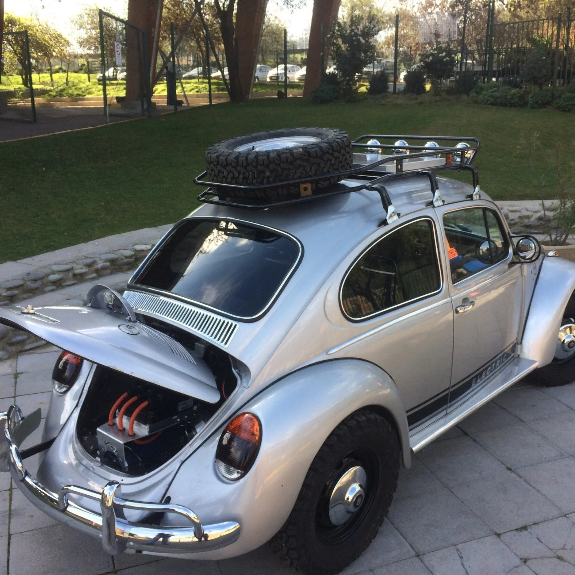 Beetle+I-002.jpg