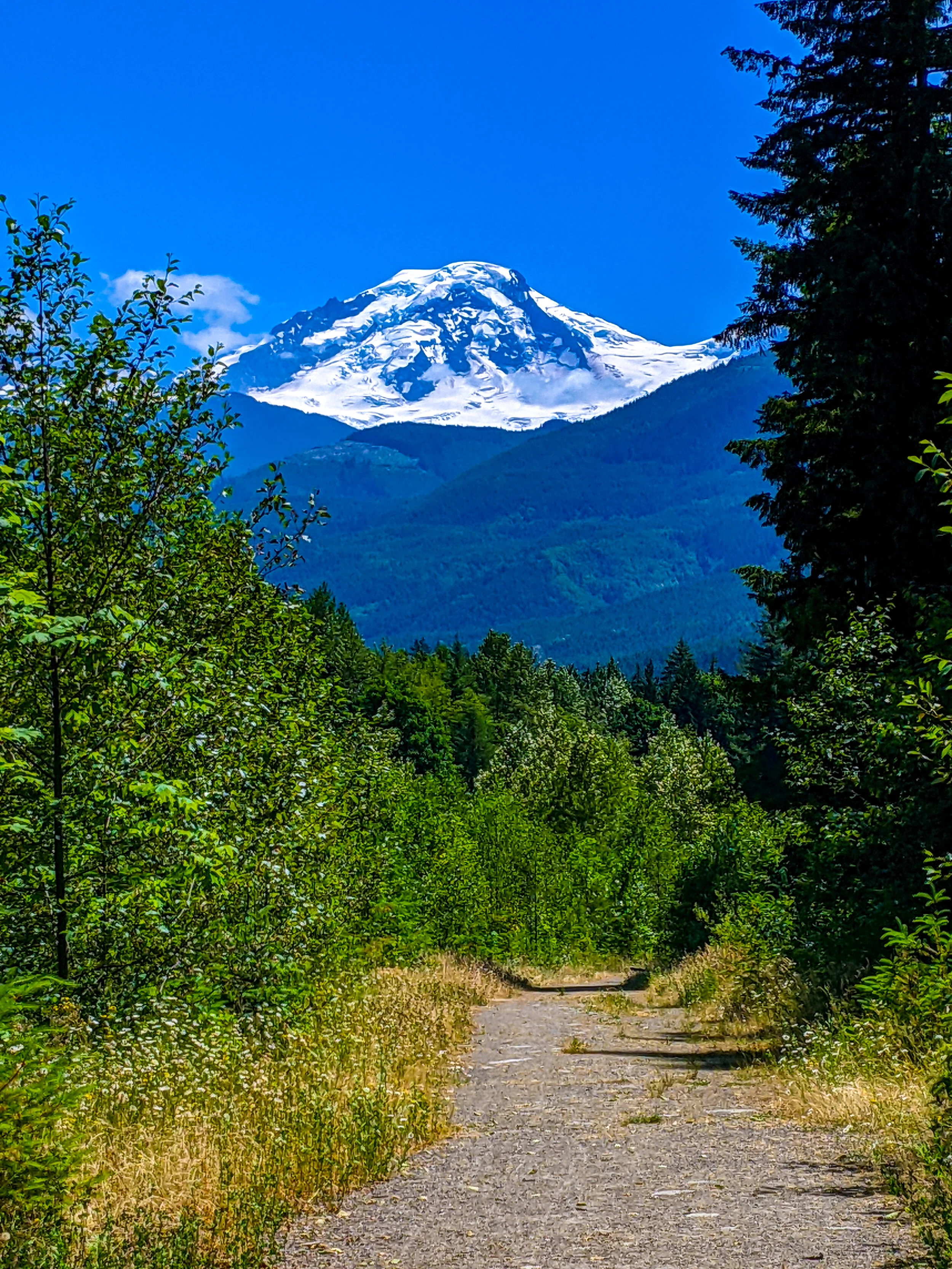PXL_20210703_201446555-2.jpg