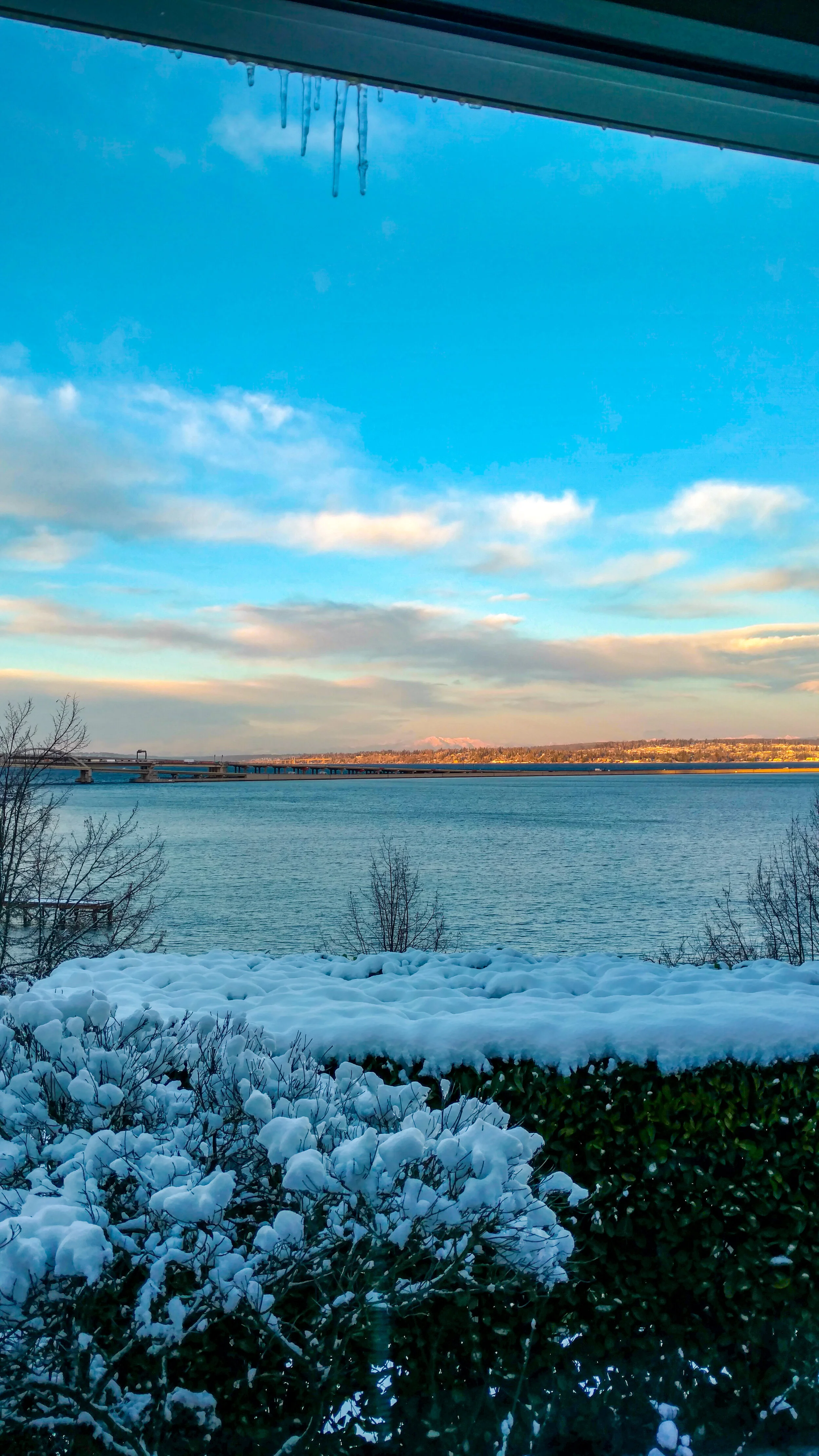 IMG_20190209_165853183_HDR-2.jpg