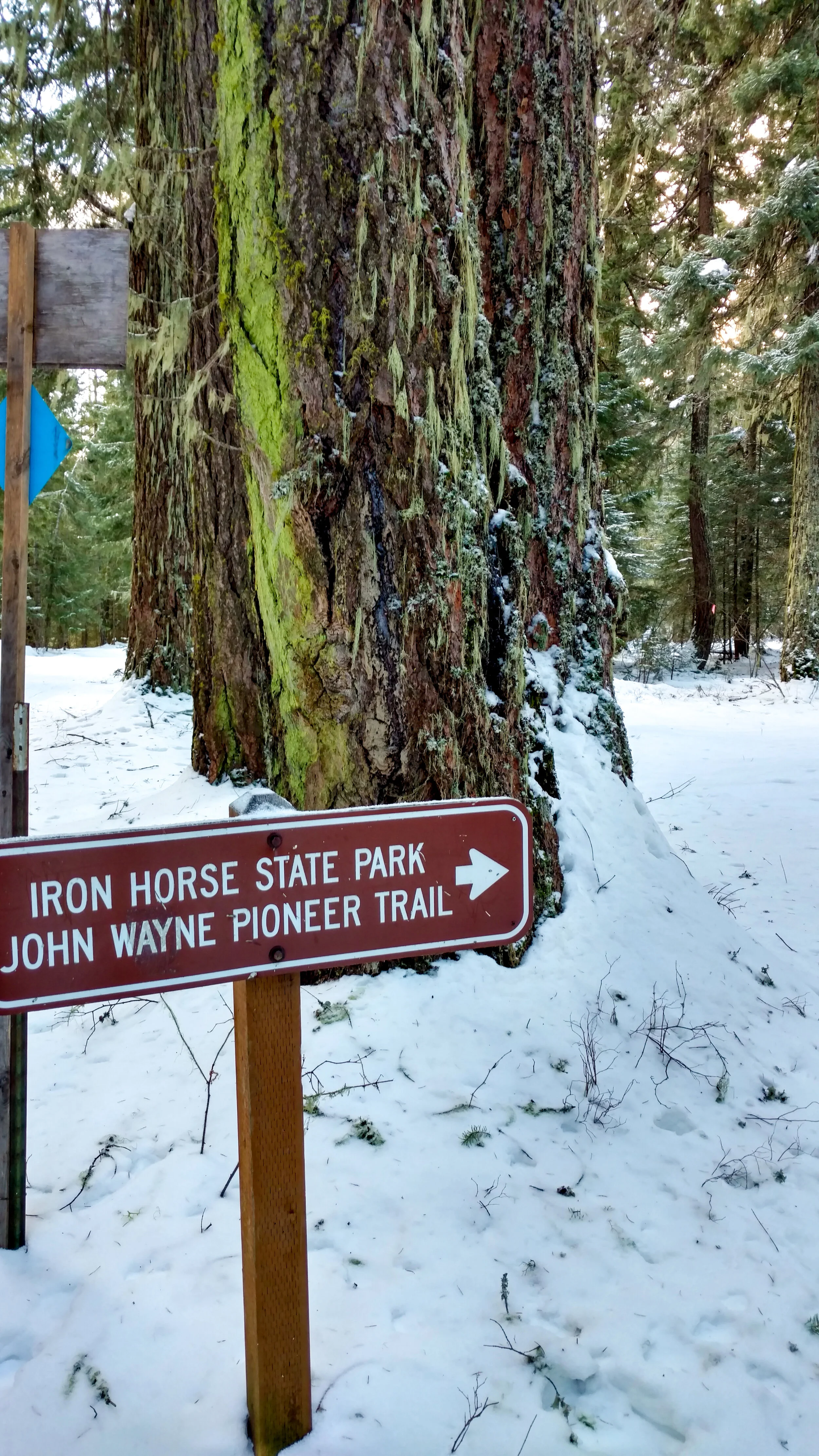 IMG_20161224_140408826_HDR-2.jpg
