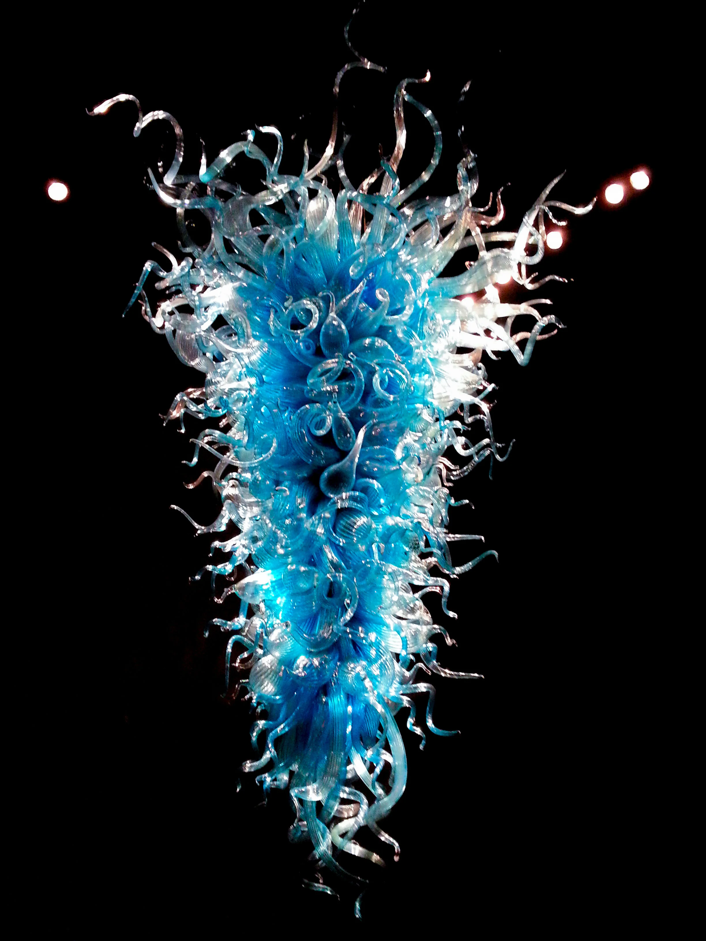 20141005_121602-2.jpg