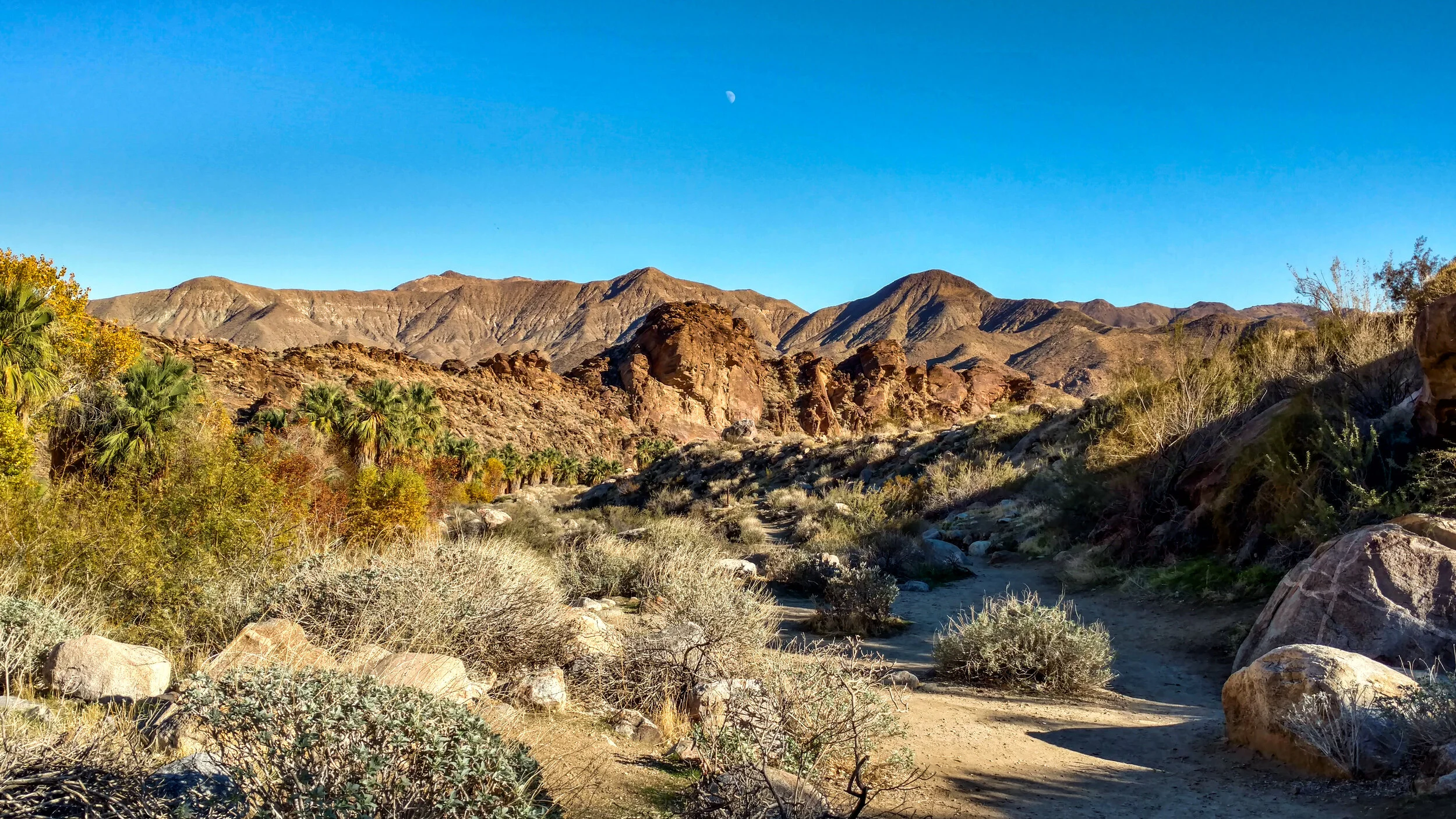 IMG_20181216_135217223_HDR-2.jpg