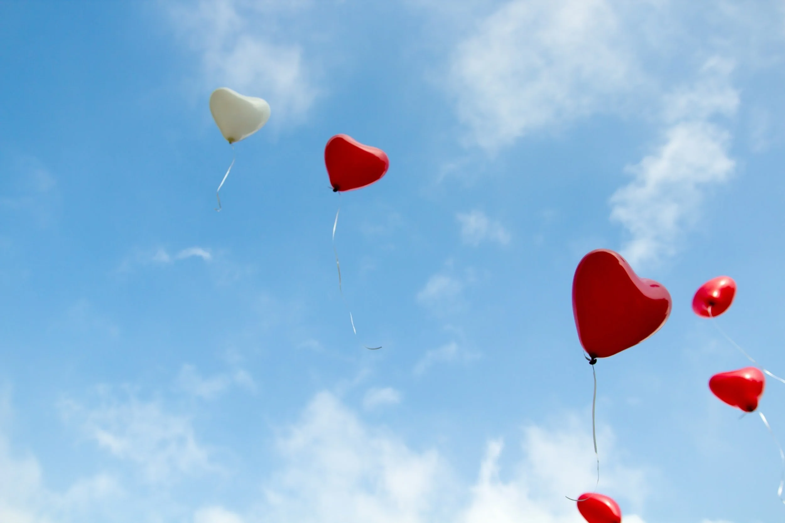 A Legacy of Love