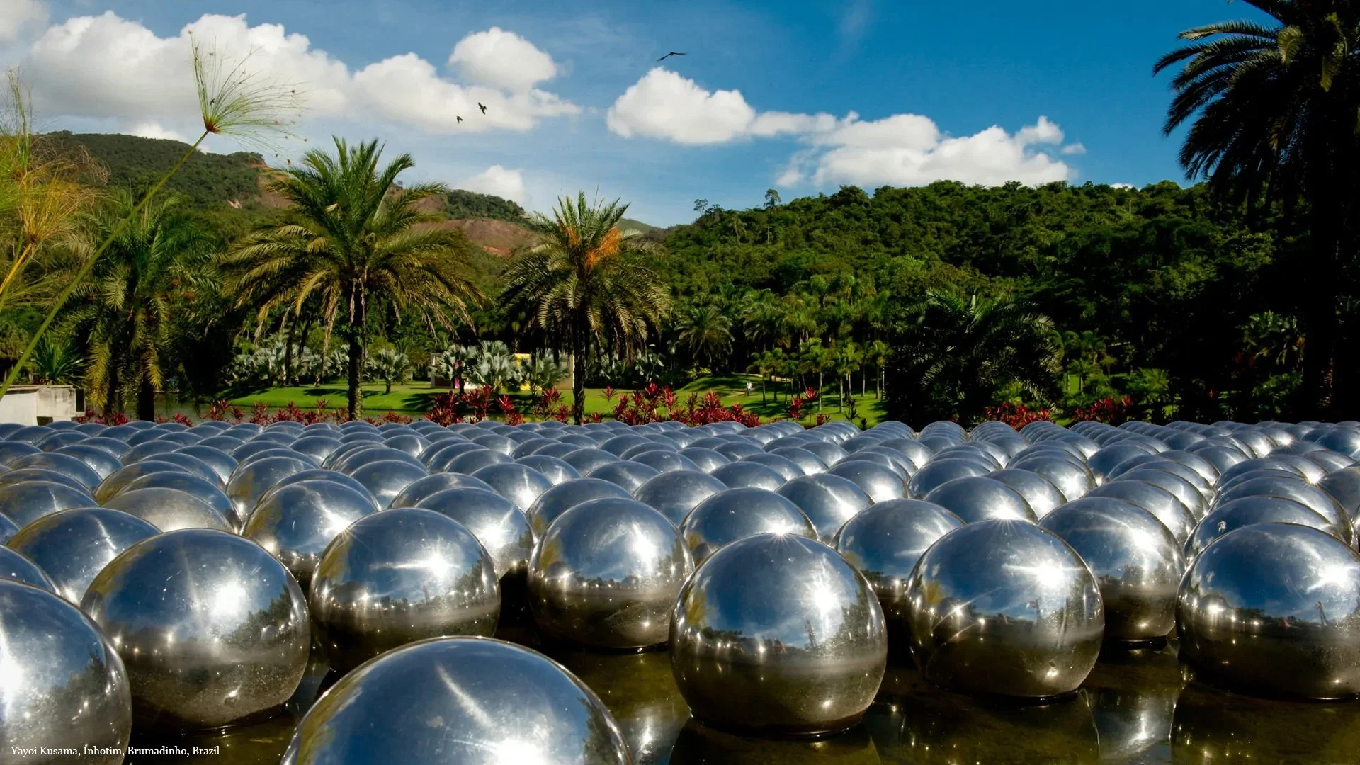 Inhotim_Kusama_Narcissus Garden.jpg