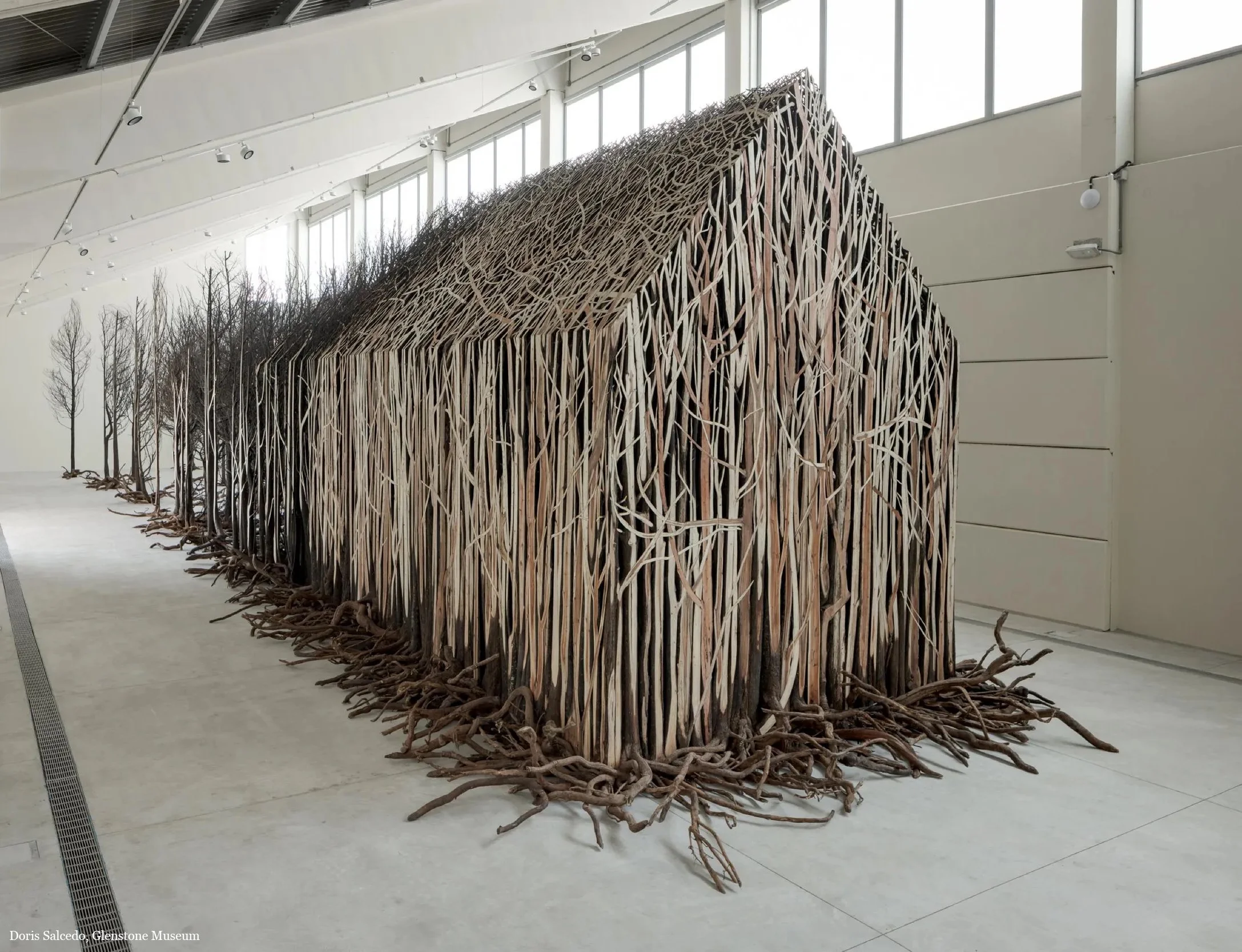 Glenstone_Doris Salcedo_Uprooted.jpg