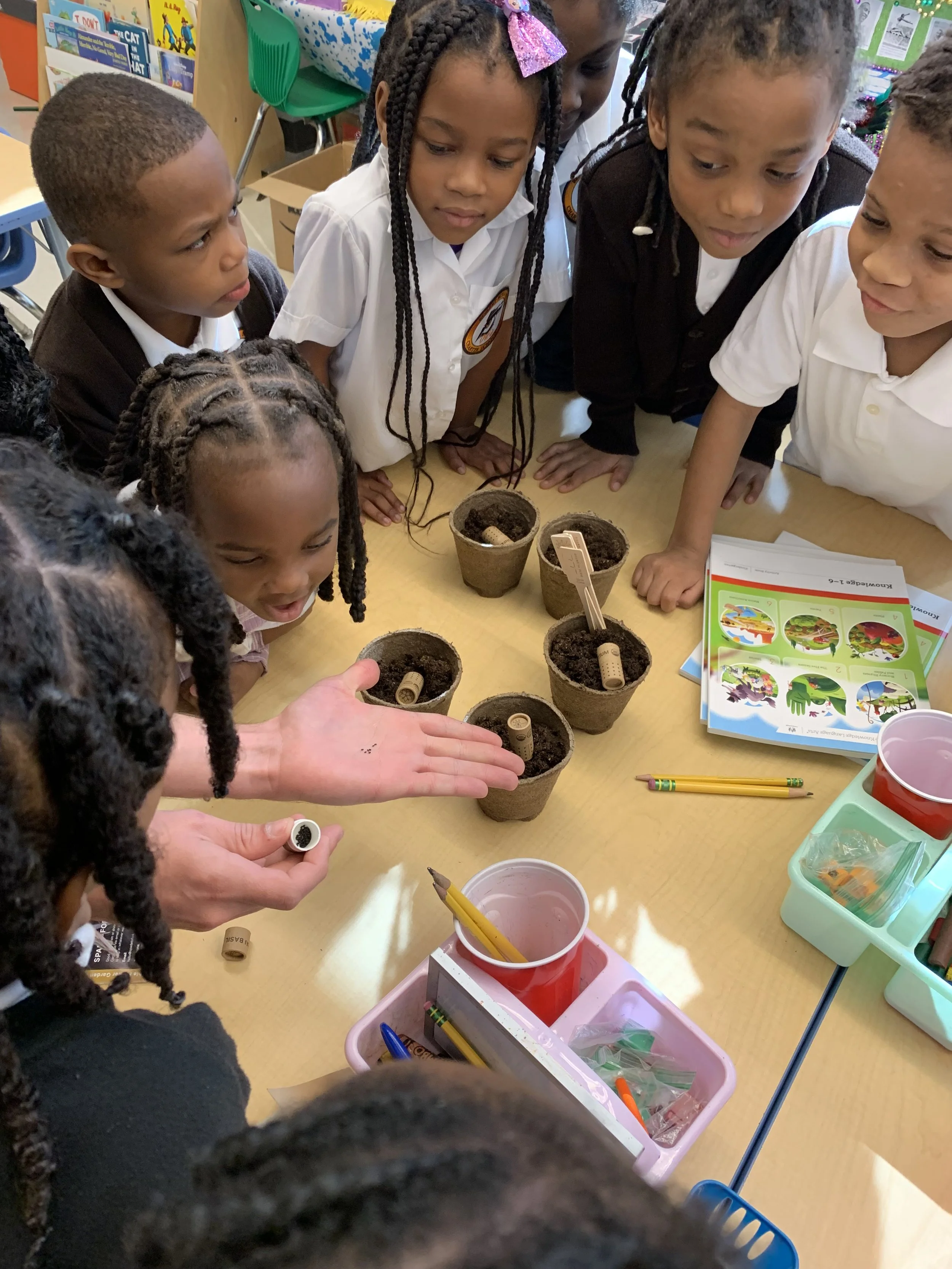 The Potential of Plants — KID smART Education Through Imagination