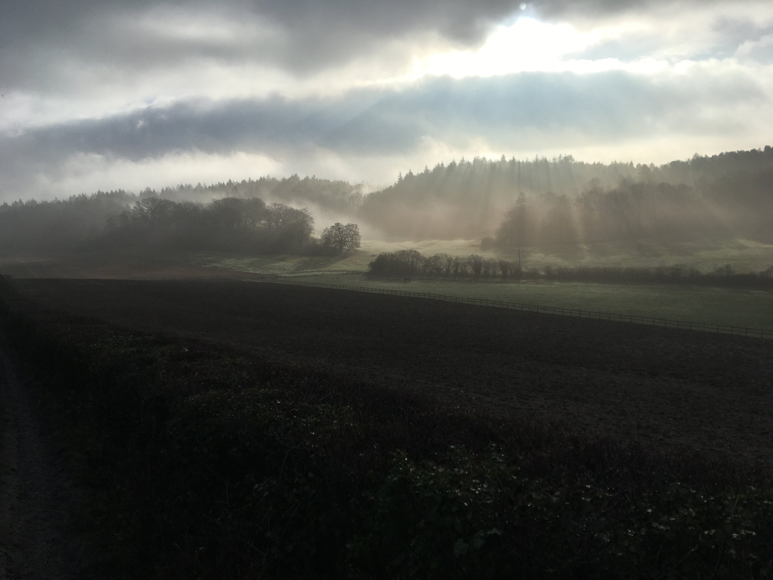 Guided Walk - North Downs