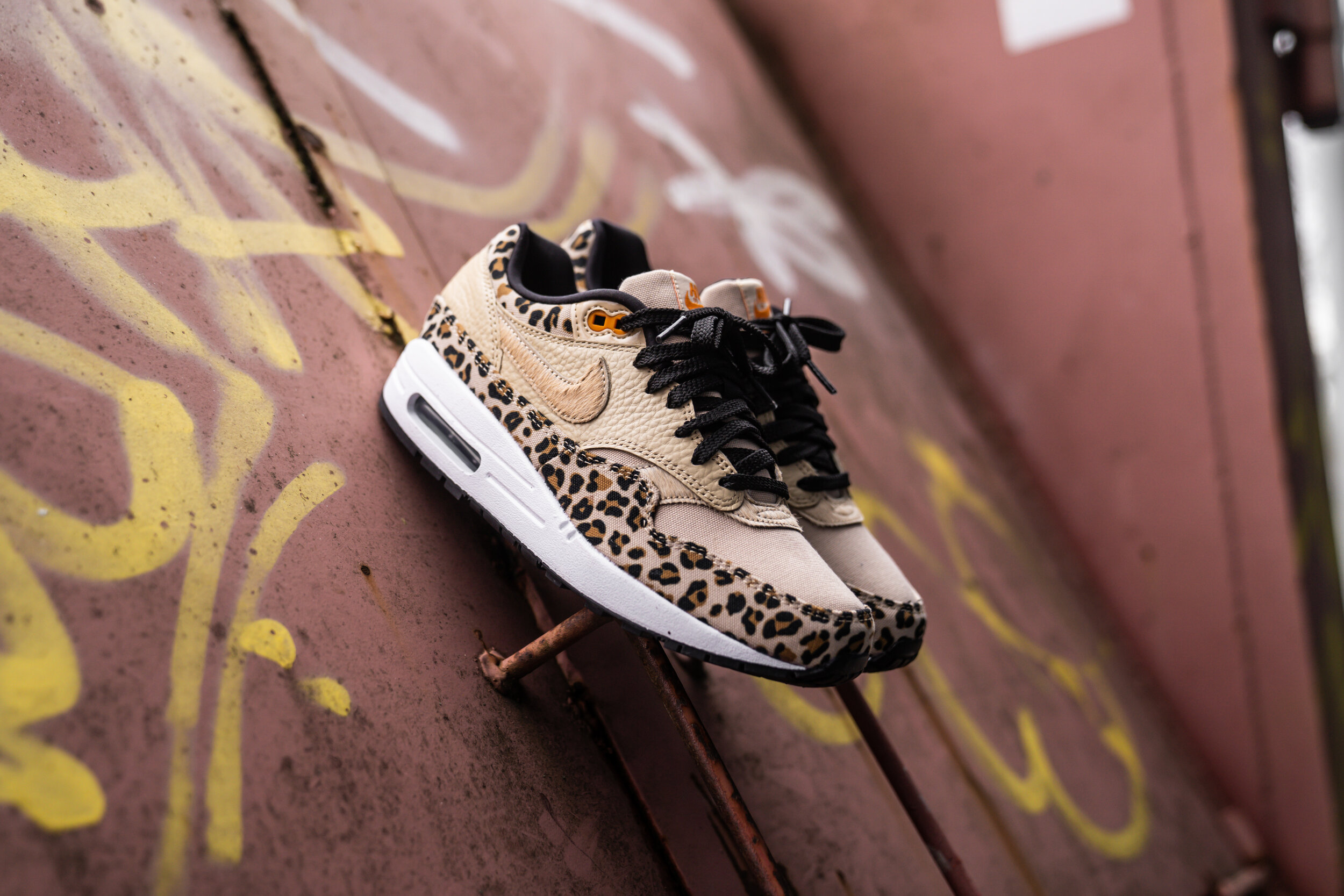 AM1Safa.jpg