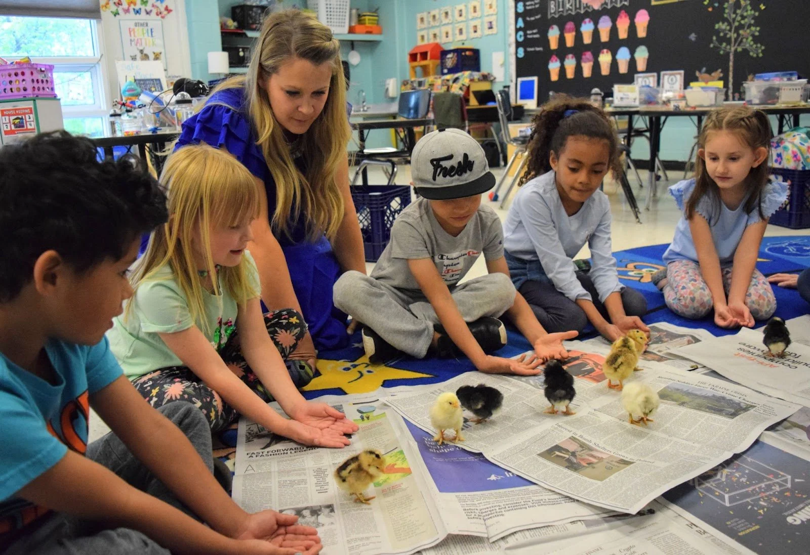 A teacher and young students in a classroom with live chicks