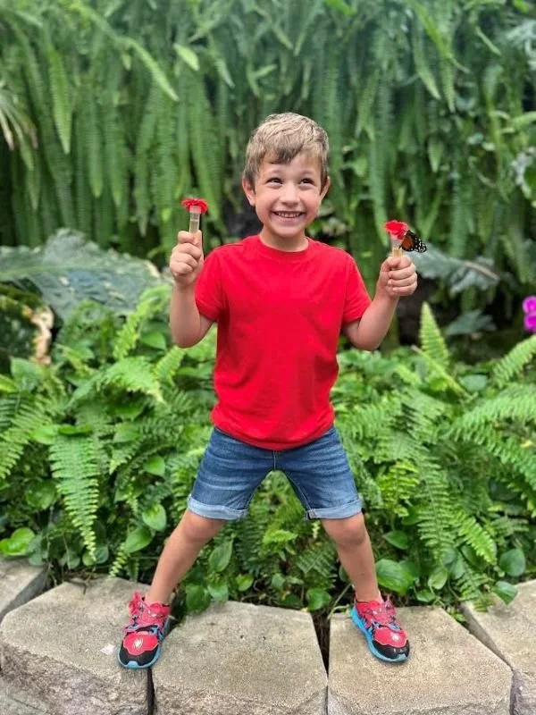 Young boy holding two nectar feeders in the butterfly aviary
