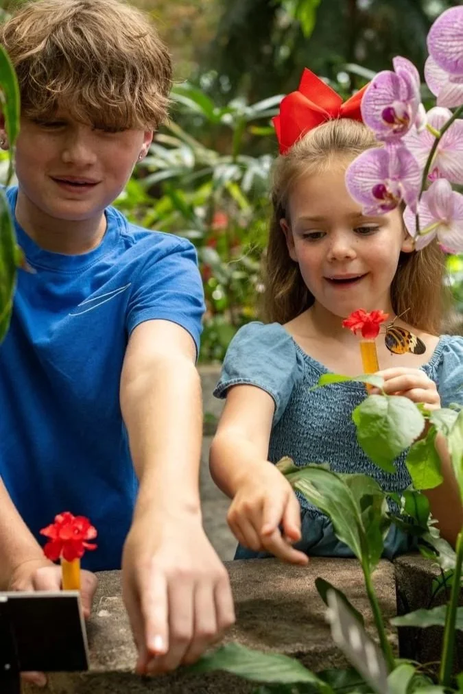 Young brother and sister pointing at something off frame