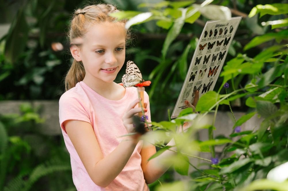 Young girl in the butterfly aviary holding a nectar tube in one hand and an identification chart in the other