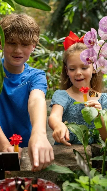 brother and sister excitedly pointing at something out of frame